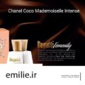 Rodier Bugatti Femenity Eau De Parfum For Women 100ml