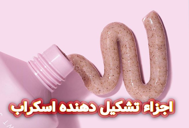 اجزاء-تشکیل-دهنده-اسکراب