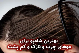 بهترین شامپو برای موهای چرب