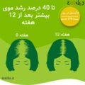 کپسول پریورین1
