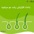 کپسول پریورین3