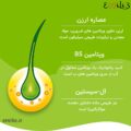 کپسول پریورین4