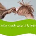 کپسول پریورین6