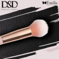 براش هایلایتر DSD مدل PK-12H